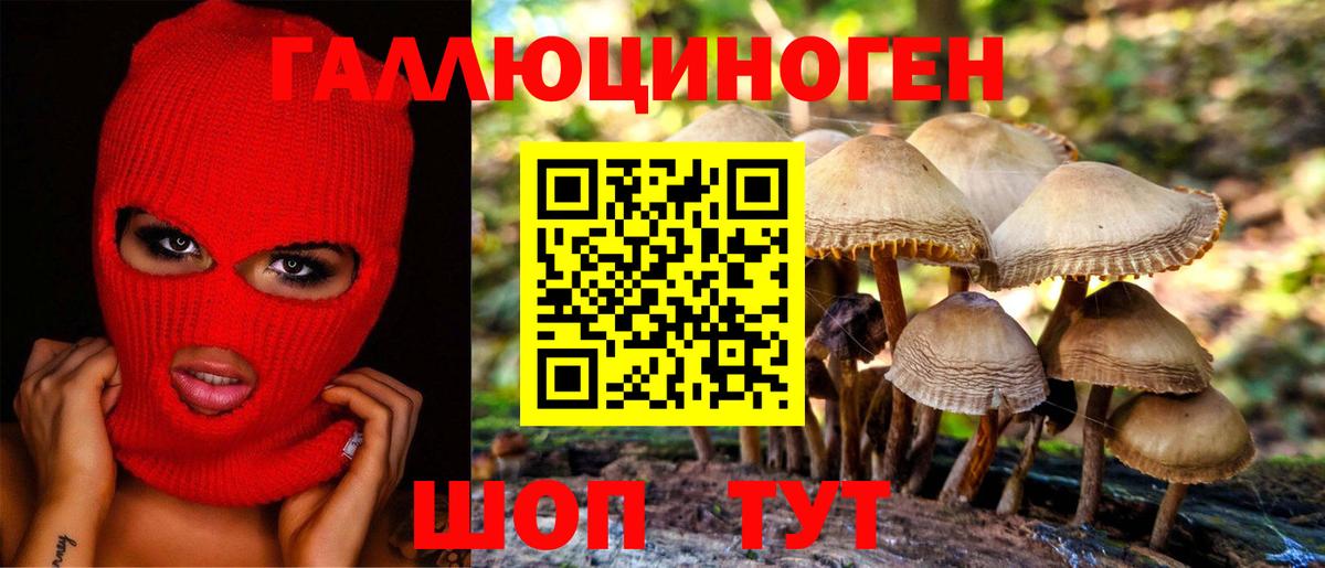 Галлюциногенные грибы прущие грибы  Псилоцибиновые грибы Magic Shrooms  Хабаровск  Вход с VPN 